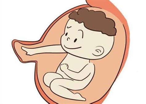 孕妇胎动记录