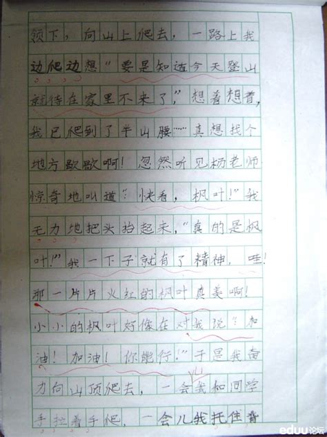 我的哥哥-写人的作文1200字（推荐6篇）