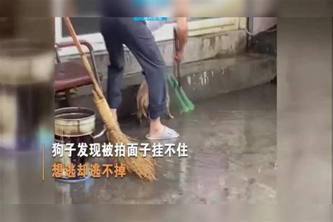 我好想逃却逃不掉说说