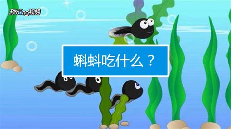 无锡市小蝌蚪网络技术有限公司怎么样?