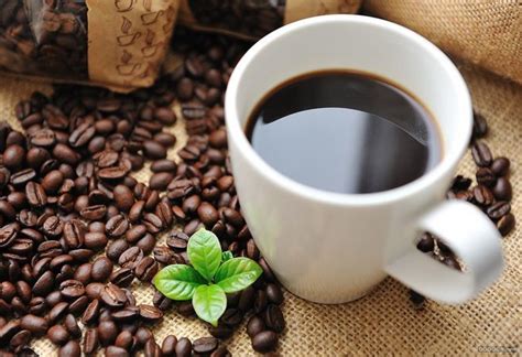 一杯咖啡多少咖啡豆