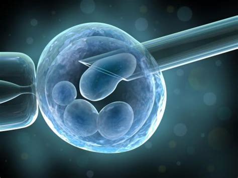 养囊不成功鲜胚移植会成功吗