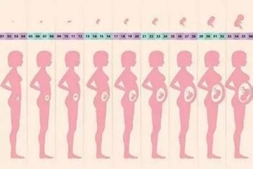 怀孕对女人身体的改变