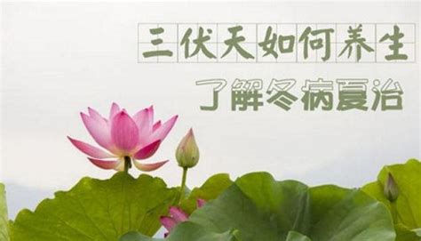 三伏天怎么清凉解暑