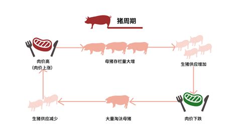 猪周期的介绍