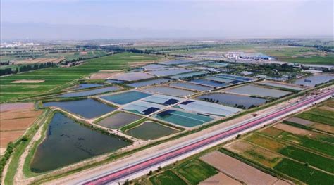 水產養殖學是干啥的,能調專業嗎,難嗎
