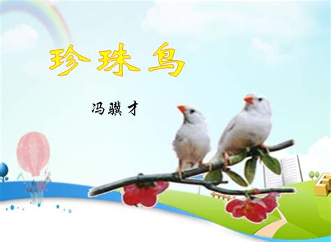 珍珠鸟-三年级写物作文400字（精选9则）