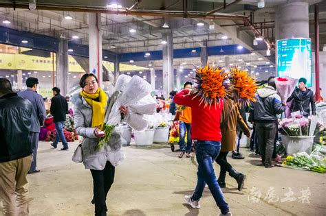 重庆江北花鸟市场在哪里,什么时候赶场........