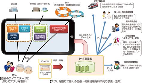 英语中phr是什么意思?