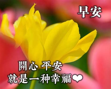 家人们早上好祝福图片【汇总50条】