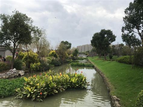 游宁波植物园_游记作文500字[集锦5篇]