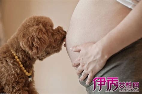 得了多囊卵巢综合征就不能怀孕吗