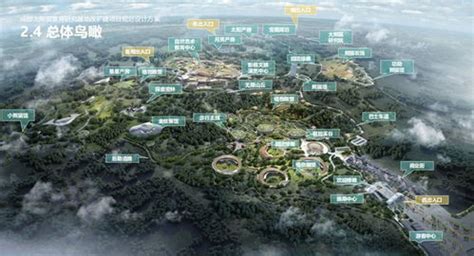 成都熊猫基地攻略