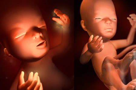 影响胎宝宝发育的6个习惯