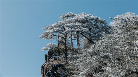 黄山现在有雪吗?