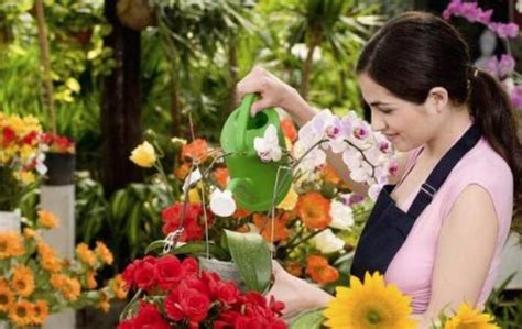 50种常见花卉浇水方法 · 献给哪些喜爱花的人