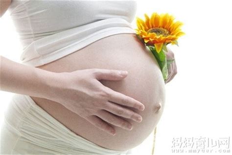 怀孕胎动怎么数