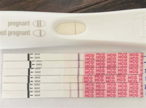 准妈计算妊娠天数、预产期最准确的方法！别连这个都糊涂