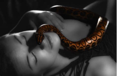 女人梦到蛇预示怀孕吗