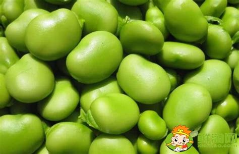 青豆和毛豆的區別 青豆與毛豆有區別嗎