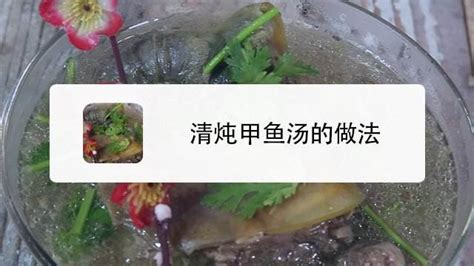 甲魚怎么殺?