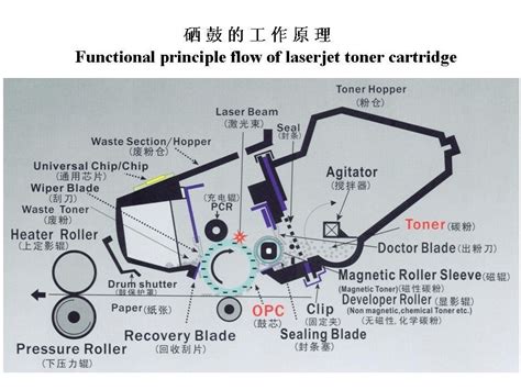 硒鼓是读xigu还是读shaigu