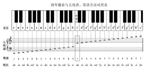 钢琴音区名称及琴键名称对照表