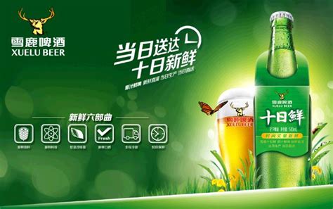 我要怎樣加盟青島多彩扎啤?