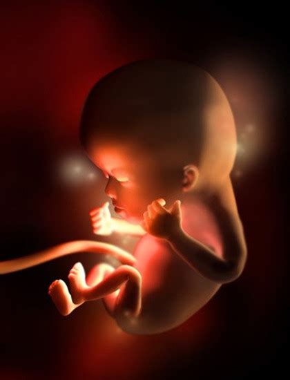 孕9周胎儿什么样子图片