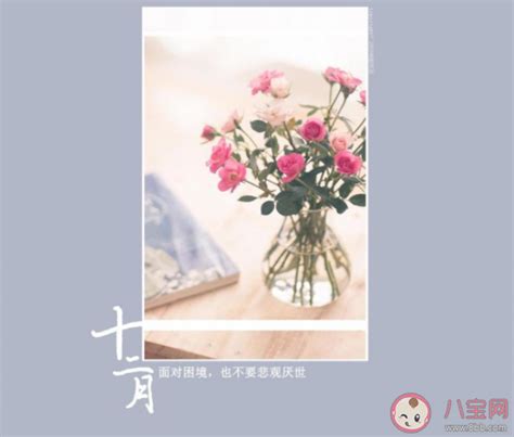 告别十一月的句子