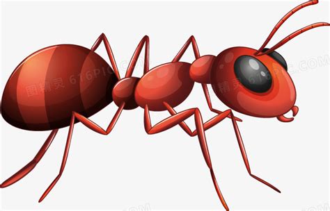 很老的一部动画片关于蚂蚁的