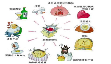 血压低吃什么东西好得快