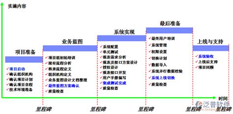 软件实施具体是做什么?