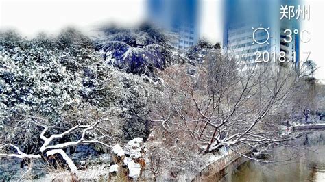 郑州市紫荆山公园在哪
