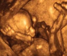 怀孕中期胎儿发育注意事项