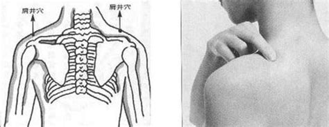 耻骨穴准确位置男性