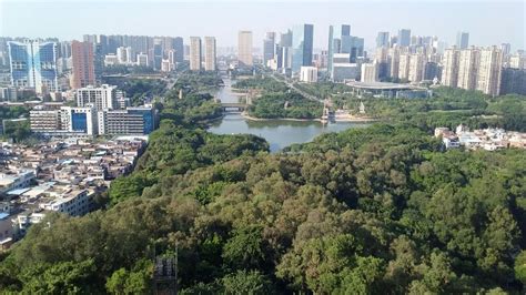 南海雷岗公园