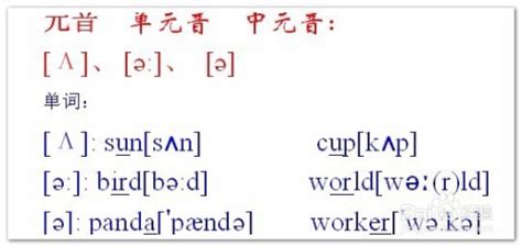 谐音记单词软件