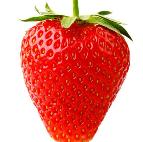 孕妇吃草莓的注意事项