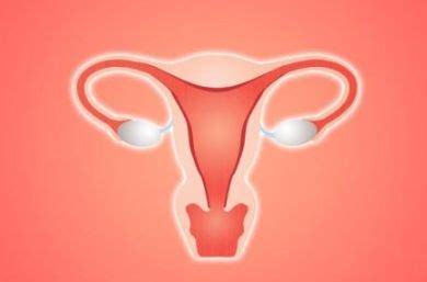 做试管子宫肌瘤影响胚胎着床