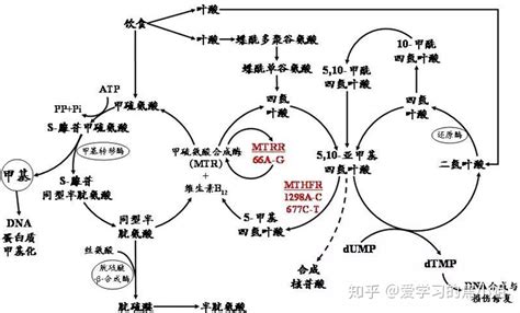 谁来帮我解答这个问题