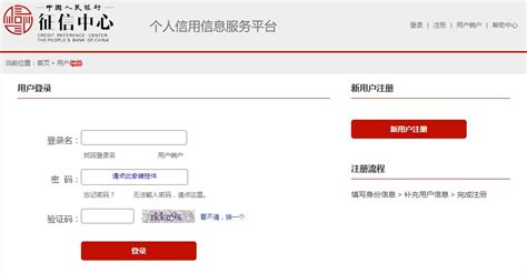 个人信誉度网上查询官网