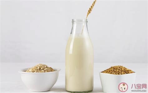 怎么做燕麦牛奶最好吃 燕麦牛奶怎么做好吃