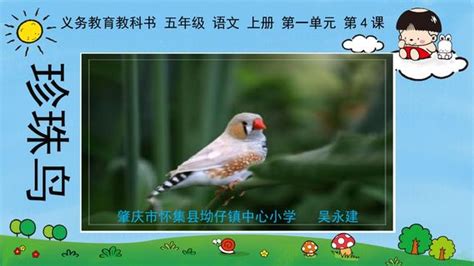 珍珠鸟课文