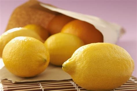 柠檬花花语是什么