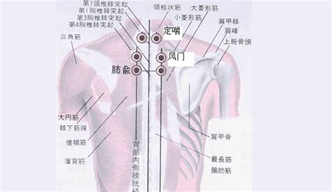 支气管哮喘的十大偏方