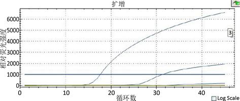 b族链球菌对孕妇有什么影响