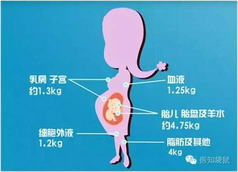 孕期体重增长标准你合格了吗