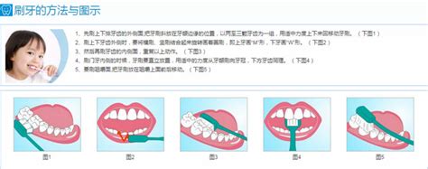 孕前检查需要检查牙齿吗