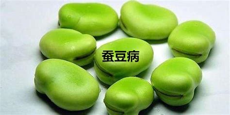 蠶豆哪些人群不宜食用